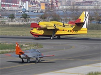 JOSE LUIS MOYA. Click to see full size photo