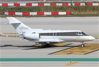 Jos Miguel Bernases - Noisy Spotters. Click to see full size photo