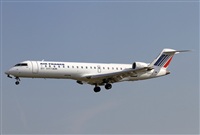 Jos Miguel Bernases - Noisy Spotters. Click to see full size photo