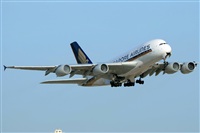 Ana L@dy Spotter. Click to see full size photo