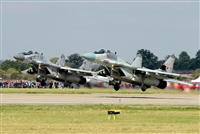 Tams. Click to see full size photo