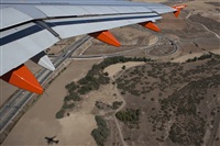 Rui Alves - Madeira Spotters. Click to see full size photo
