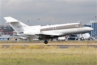 Nacho Rodriguez - Canary Islands Spotting. Click to see full size photo