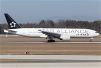 Miguel Alia - Noisy Spotters. Click to see full size photo