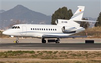 Miguel Alia - Noisy Spotters. Click to see full size photo