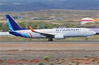Miguel A. gueda Rguez.  (CANARY ISLANDS SPOTTING). Click to see full size photo