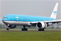Miguel Alia - Noisy Spotters. Click to see full size photo
