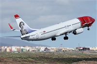 ©Alfonso Solís - Asociación Canary Islands Spotting. Click to see full size photo ©Alfonso Solís - Asociación Canary Islands Spotting. Click to see full size photo