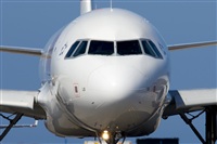Saimon J Rodriguez   -   Canary Islands Spotting. Click to see full size photo