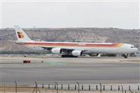 ©Alfonso Solís - Asociación Canary Islands Spotting. Click to see full size photo ©Alfonso Solís - Asociación Canary Islands Spotting. Click to see full size photo