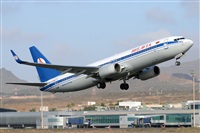 Miguel A. gueda Rguez.  (CANARY ISLANDS SPOTTING). Click to see full size photo