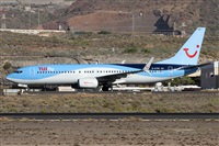 ©Alfonso Solís - Asociación Canary Islands Spotting. Click to see full size photo ©Alfonso Solís - Asociación Canary Islands Spotting. Click to see full size photo
