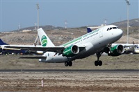 ©Alfonso Solís - Asociación Canary Islands Spotting. Click to see full size photo ©Alfonso Solís - Asociación Canary Islands Spotting. Click to see full size photo