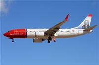 Miguel A. gueda Rguez.  (CANARY ISLANDS SPOTTING). Haz click para ampliar