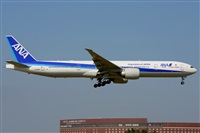 Miguel A. gueda Rguez.  (CANARY ISLANDS SPOTTING). Click to see full size photo