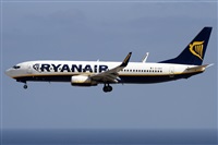 Alfonso Sols - Asociacin Canary Islands Spotting. Haz click para ampliar