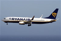 Alfonso Sols - Asociacin Canary Islands Spotting. Haz click para ampliar