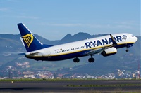 Saimon J Rodriguez   -   Canary Islands Spotting. Haz click para ampliar