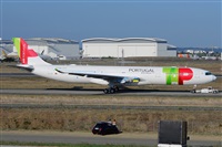 Miguel A. gueda Rguez.  (CANARY ISLANDS SPOTTING). Haz click para ampliar