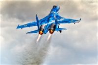 Javier de la Cruz - CANARY ISLANDS SPOTTING. Click to see full size photo