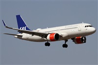 Alfonso Sols - Asociacin Canary Islands Spotting. Click to see full size photo