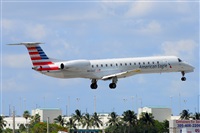 Miguel A. gueda Rguez.  (CANARY ISLANDS SPOTTING). Click to see full size photo