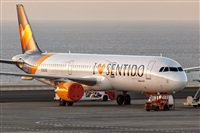 Javier de la Cruz - CANARY ISLANDS SPOTTING. Click to see full size photo