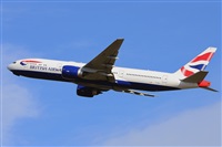 Miguel A. gueda Rguez.  (CANARY ISLANDS SPOTTING). Click to see full size photo