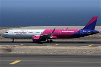 ©Alfonso Solís - Asociación Canary Islands Spotting. Click to see full size photo ©Alfonso Solís - Asociación Canary Islands Spotting. Click to see full size photo