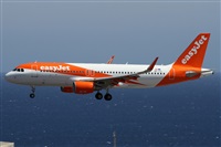 ©Alfonso Solís - Asociación Canary Islands Spotting. Click to see full size photo ©Alfonso Solís - Asociación Canary Islands Spotting. Click to see full size photo