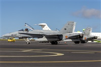 Daniel Santos Batista - Canary Islands Spotting. Haz click para ampliar