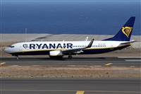 ©Alfonso Solís - Asociación Canary Islands Spotting. Click to see full size photo ©Alfonso Solís - Asociación Canary Islands Spotting. Click to see full size photo