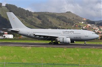 Miguel A. gueda Rguez.  (CANARY ISLANDS SPOTTING). Click to see full size photo