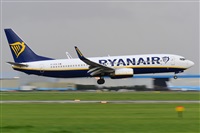 Miguel A. gueda Rguez.  (CANARY ISLANDS SPOTTING). Click to see full size photo