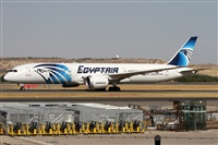 Alfonso Sols - Asociacin Canary Islands Spotting. Haz click para ampliar
