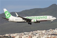 ©Adolfo Bento - Gran Canaria Spotters. Click to see full size photo ©Adolfo Bento - Gran Canaria Spotters. Click to see full size photo