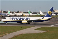 Alfonso Sols - Asociacin Canary Islands Spotting. Click to see full size photo