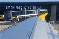 Miguel A. gueda Rguez.  (CANARY ISLANDS SPOTTING). Click to see full size photo