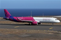 ©Alfonso Solís - Asociación Canary Islands Spotting. Click to see full size photo ©Alfonso Solís - Asociación Canary Islands Spotting. Click to see full size photo