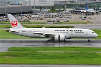 Miguel A. gueda Rguez.  (CANARY ISLANDS SPOTTING). Click to see full size photo