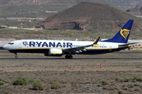 Alfonso Sols - Asociacin Canary Islands Spotting. Click to see full size photo