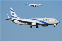 Miguel A. gueda Rguez.  (CANARY ISLANDS SPOTTING). Click to see full size photo