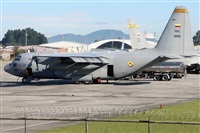 Csar Prieto. Click to see full size photo