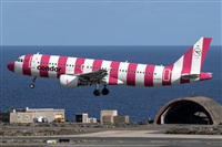 ©Adolfo Bento - Gran Canaria Spotters. Click to see full size photo ©Adolfo Bento - Gran Canaria Spotters. Click to see full size photo