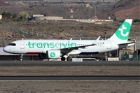 ©Alfonso Solís - Asociación Canary Islands Spotting. Click to see full size photo ©Alfonso Solís - Asociación Canary Islands Spotting. Click to see full size photo