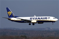 �Daniel Schwinn. Click to see full size photo