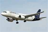 �Sergio Gonz�lez. Click to see full size photo