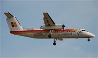 Rubn Gil - Noisy Spotters. Click to see full size photo