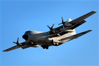 Aset Anton. Click to see full size photo