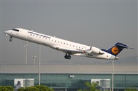 Rodrigo Carvalho - Noisy Spotters. Click to see full size photo